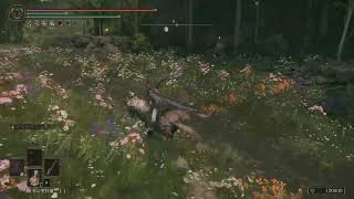 エルデンリング　DLC PS5 パート10 探索する