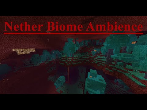 Nether Biome Ambience (as of 20w10a)