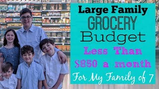 Feeding My LARGE Family for Less || Grocery Challenge