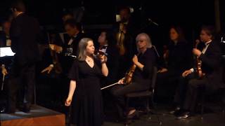 Natalie Merchant "Vain and Careless"  With Orchestra HD