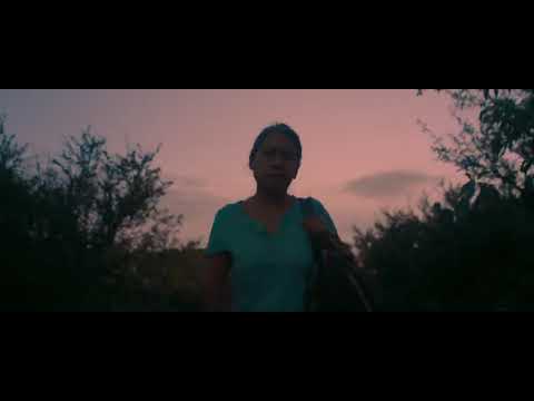 Трейлер