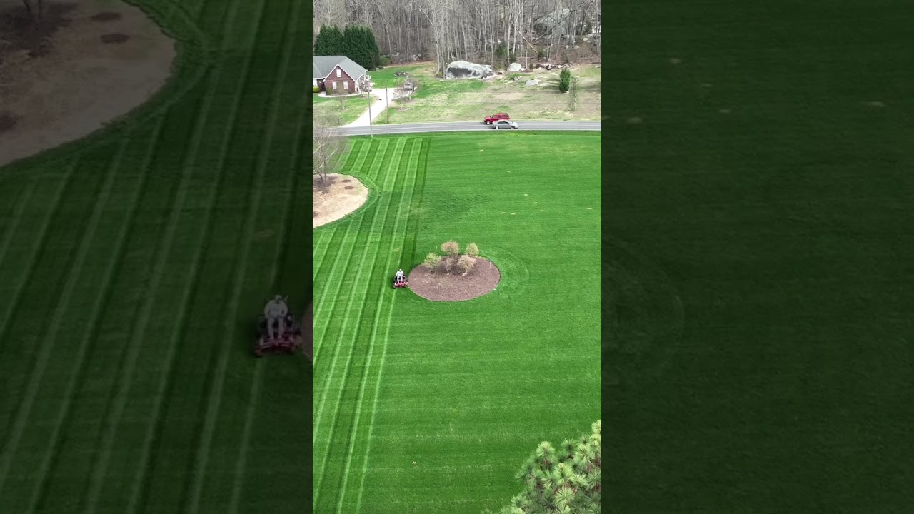 Satisfying Lawn Stripes! 🌱💯 #satysfying #shorts #youtubeshorts #lawncare