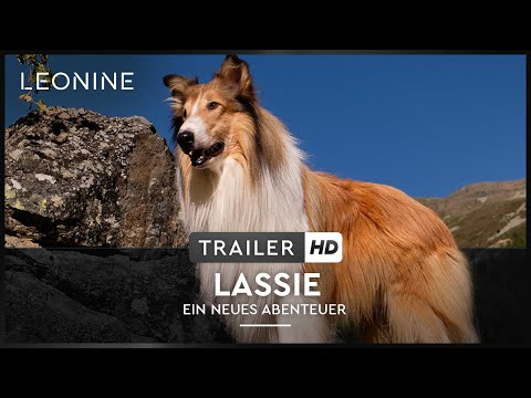 afbeelding Lassie - Ein Neues Abenteuer