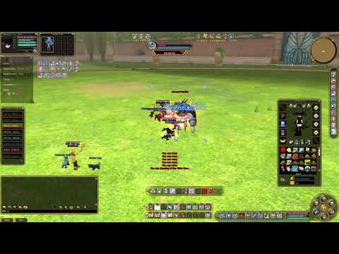 Insanity Flyff Colosseum Teaser Slayer