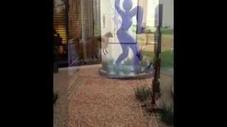 Simi Park, Rancho Mirage, CA