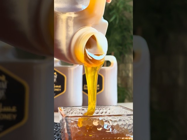 عسل دريم هاوس سدر طبيعي جالون 6 كجم (3 عبوات 2 كجم)