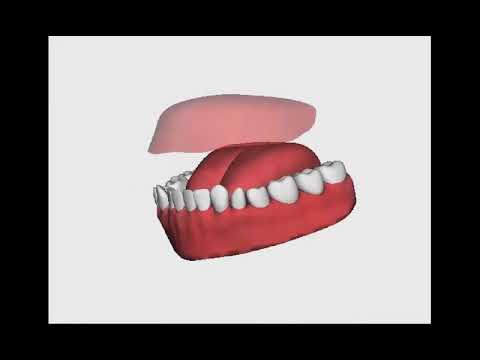 Online sufara   Izgovor harfa BA  Motivacijom ka Džennetu