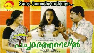 Janmatheerathengo - Pachamarathanalil