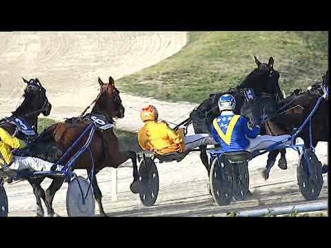 Napoli Trotto 10/03/2023 - 6ª corsa