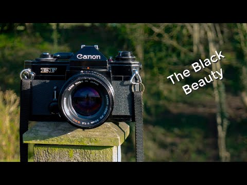 The Canon EF with the FD 50mm f1.4  lens review and lens test wide open