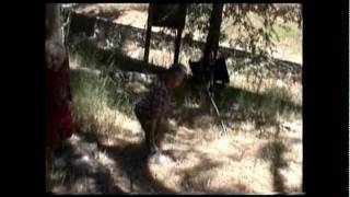 Tibetan and Chan Zen Prayer Meditation