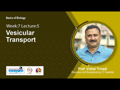 Basics of Biology Intro Video