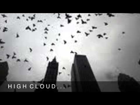 TROYCERATOPS - HIGH CLOUD