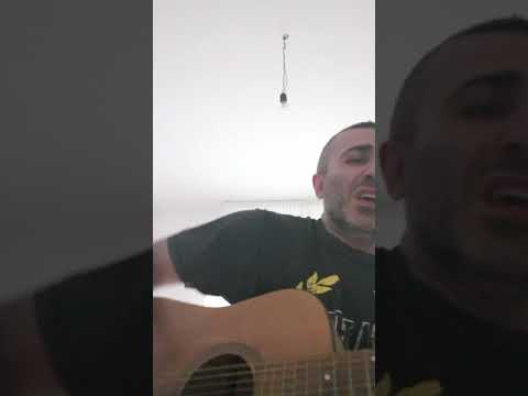 Meravigliosa Creatura