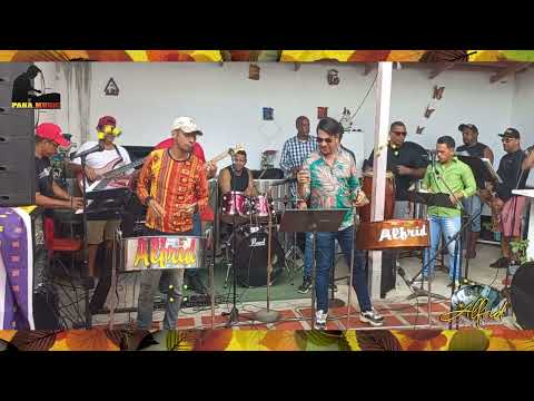 ALFRID EL REY DEL STEEL BAND ENSAYANDO