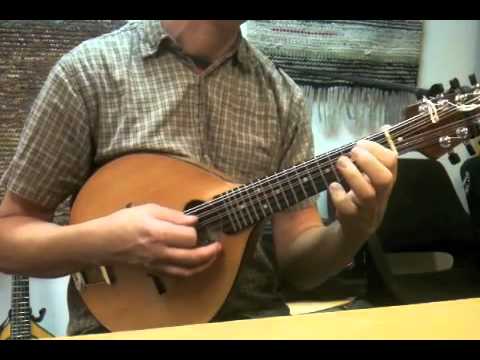 Jarmo Romppanen - 10 string mandolin
