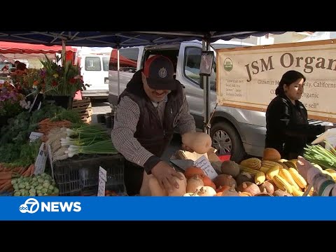 Bay Area farmers' market vendors struggle to recover profits epic winter storms