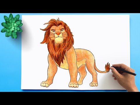 How to Draw a Lion Easy | Lion King Drawing Step by...