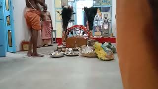 தாராபுரம் முத்துக்கவுண்டன் பாளையம் ஸ்ரீ பால தண்டாயுதபாணி பங்குனி உத்திர தீர்த்தக் காவடிகள் 2025