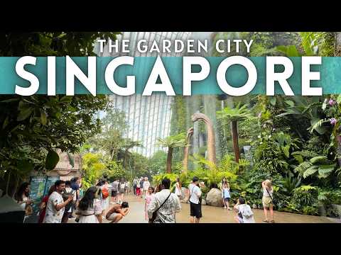 Singapore Travel Guide 2026 4K