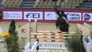 Video of Panama Tame