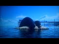 DVD Closing To Finding Dory UK DVD Request Video For A Smith