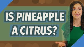 Is pineapple a citrus