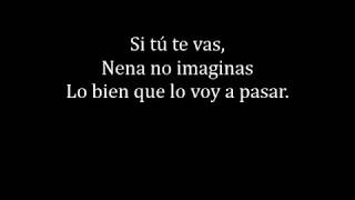 Platero y tú   si tu te vas con letra