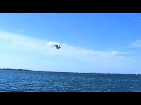 SAX N DUB desde ISLA MUJERES