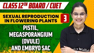 Sexual Reproduction in Flowering Plants 03 | Pistil, Megasporangium and Embryo Sac | Class 12th/CUET