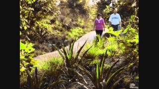 Daniel Urban Kiley Lecture: James Corner