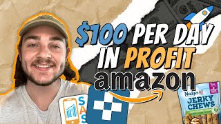 How to PROFIT $100 Per Day Selling on Amazon FBA