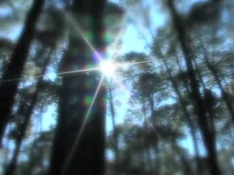 Cabañas Doradas Mazamitla Video