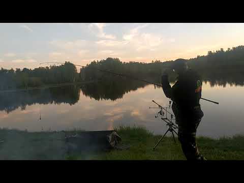 Pruty Prologic element 3,60 3LB