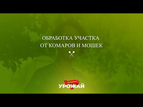 Как избавиться от насекомых летом. Обработка участка от комаров и мошек.