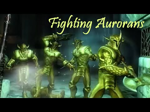 The Elder Scrolls IV: Oblivion - Fighting Aurorans with the Knights of the Nine (DLC)