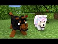 Monster School : Love Story Herobrine And The Blind Girl - Minecraft Animation