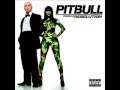 01 Triumph- Pitbull Featuring Avery Storm with ...