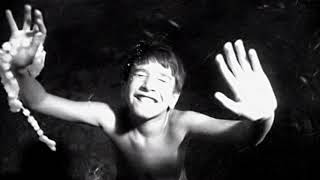 Cover art for Aura - A.N.I.M.A.L