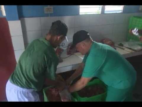 Inician nuevos proyectos socioeconómicos en municipio de Rodas