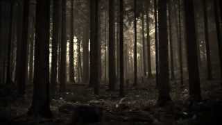 Agalloch - Our Fortress Is Burning... II - Bloodbirds