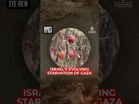 Israel’s Evolving Starvation of Gaza