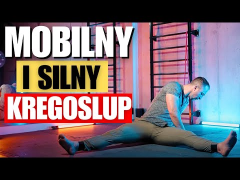 KIT FOR A MOBILE AND STABLE SPINE *free*