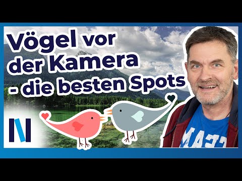 Vogelfotografie: DAS sind die besten Ziele und Locations, um Vögel vor die Kamera zu bekommen!