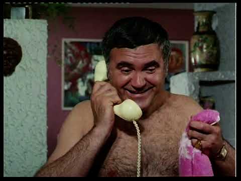 011 B D  intra in actiune   Hotul de caini