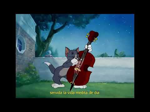 KITTY - Mack Zeta FT Ayko - Prod (L.C.S)