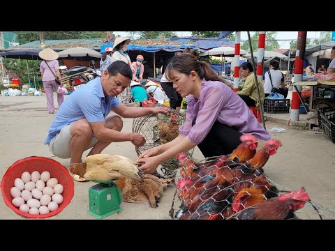 , title : 'Go to the market to sell chicken and eggs.  Income from raising chickens.  (Episode 158).'