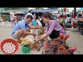 Go to the market to sell chicken and eggs.  Income from raising chickens.  (Episode 158).