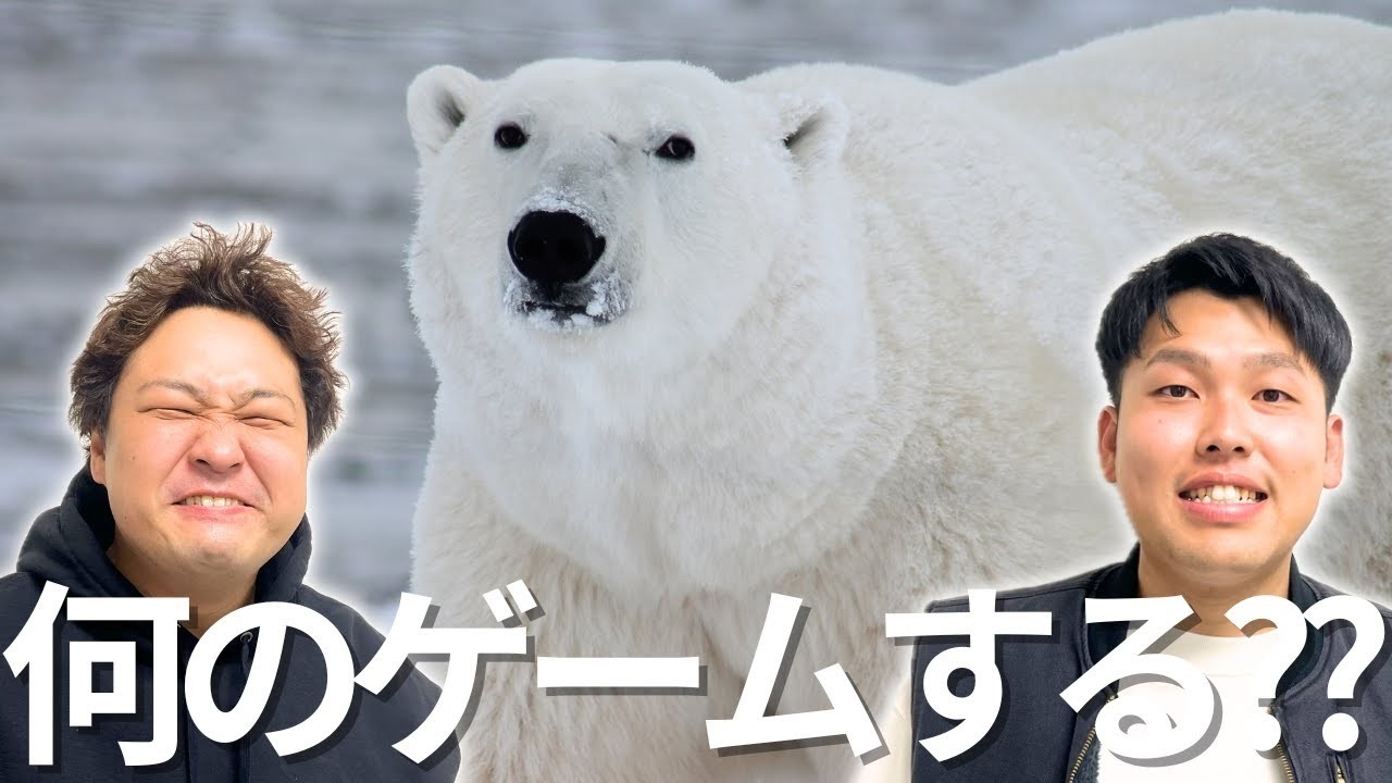 何のゲームする？【ダブルヒガシのゲーム列伝】