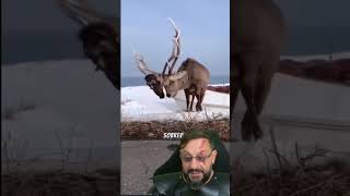 Animais que causam seu próprio fim? @DNA.SELVAGEM #biologohenrique #animais #biologo